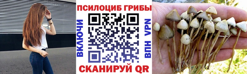 Псилоцибиновые грибы MAGIC MUSHROOMS  Сосновоборск 
